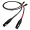 Nordost Tyr 2 2XLR-2XLR 1m