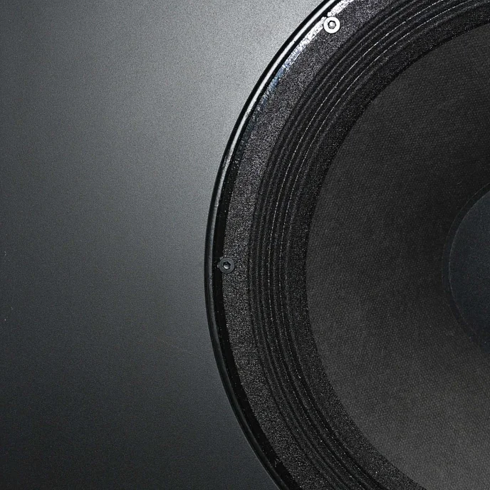Настенная акустика Davis Acoustics Model XL Black - рис.2