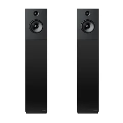 Напольная акустика Guru 28 Satin Black