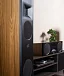 - рис.8 Напольная акустика Martin Logan Motion XT F200 Tower Gloss Black - рис.8