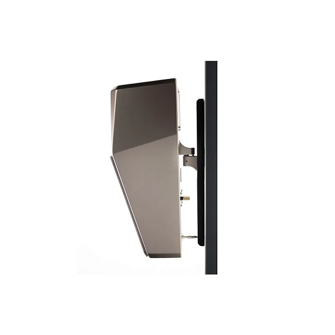 Настенная акустика Wilson Audio Alida Carbon - рис.1