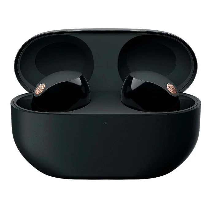 Беспроводные наушники Sony WF-1000XM5 Black - рис.0