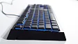 Клавиатура Razer Ornata Chroma - рис.9