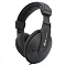 RITMIX RH-524