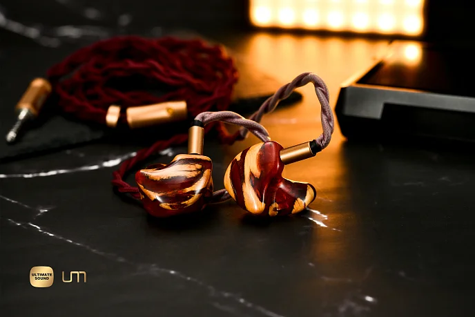 IEM наушники Unique Melody Mason FS Soleil Tombe Custom - рис.1