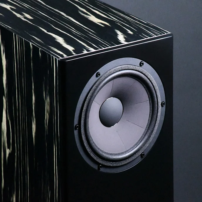 Полочная акустика Davis Acoustics MV One Master Black Piano - рис.1