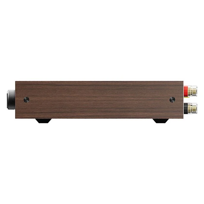 Интегральный усилитель FiiO Level 1 Black Walnut - рис.3