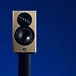 Полочная акустика Dynaudio Focus 10 Blonde Wood - рис.7