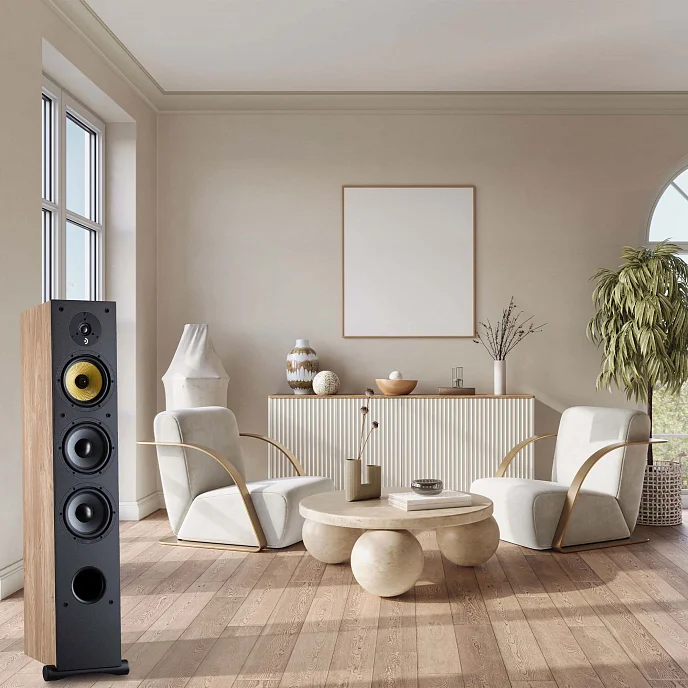 Напольная акустика Davis Acoustics Ariane 7 Black - рис.8