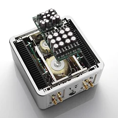 Усилитель мощности Esoteric Grandioso S1 silver