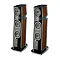 Focal Sopra N2 Dark Oak