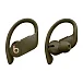 - рис.0 Беспроводные наушники Beats Powerbeats Pro Moss - рис.0