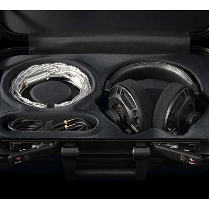 Наушники полноразмерные Final Audio D8000 Pro Limited Edition Black/Gold - рис.32