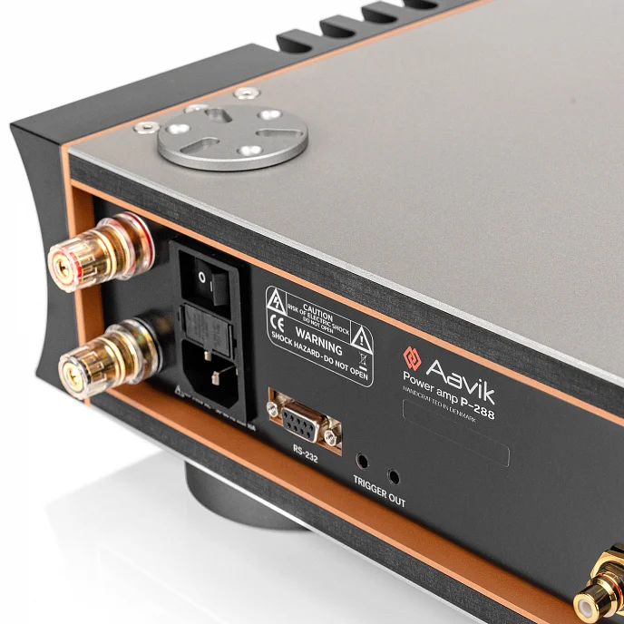 Усилитель мощности Aavik P-288 Black Silver - рис.3