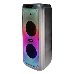 Портативная колонка Microlab PT1000W Black