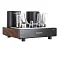 Mastersound 845 Monoblock Black Wood