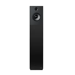 Напольная акустика Guru 28 Satin Black