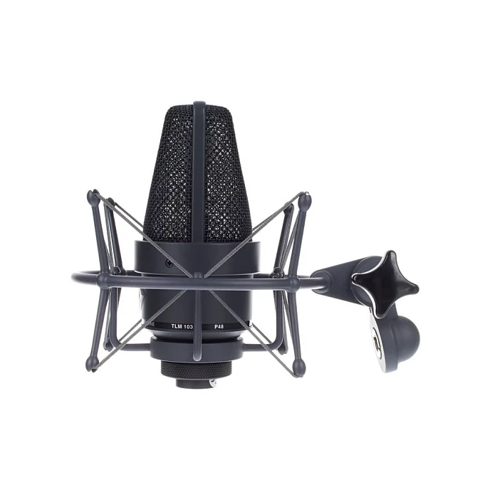 Микрофон студийный Neumann TLM 103 MT Mono Set Black - рис.5