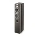 Напольная акустика Focal Chorus 716 Black Style - рис.1