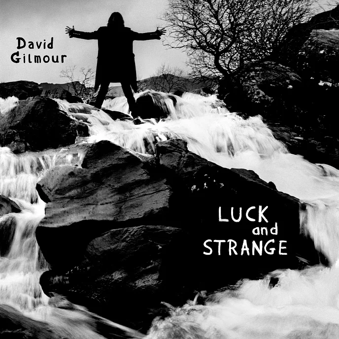 Пластинка David Gilmour – Luck And Strange Coloured Translucent Sea Blue LP - рис.0