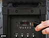 Акустическая система Gemini AS-10TOGO Black - рис.9