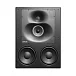 Студийный монитор Genelec 1238DFM Black - рис.0
