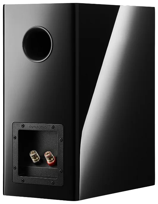 Акустическая система Dynaudio Evoke 20 Black High Gloss - рис.3