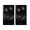 Dynaudio Focus 10 Black High Gloss