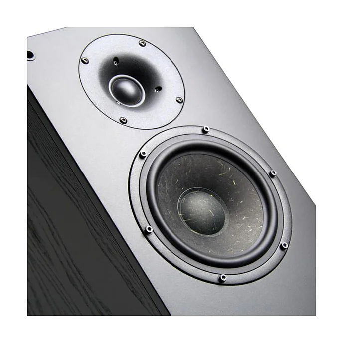 Напольная акустика Radiotehnika Gamma 3.03 Black - рис.4