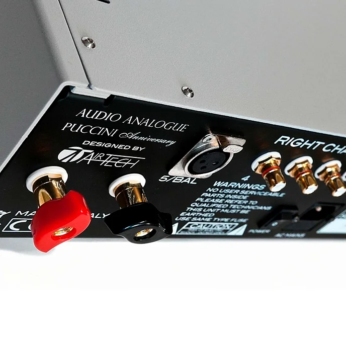 Интегральный усилитель Audio Analogue Puccini Anniversary Silver - рис.5