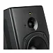 Студийный монитор PSI Audio A21-Ms Black - рис.5