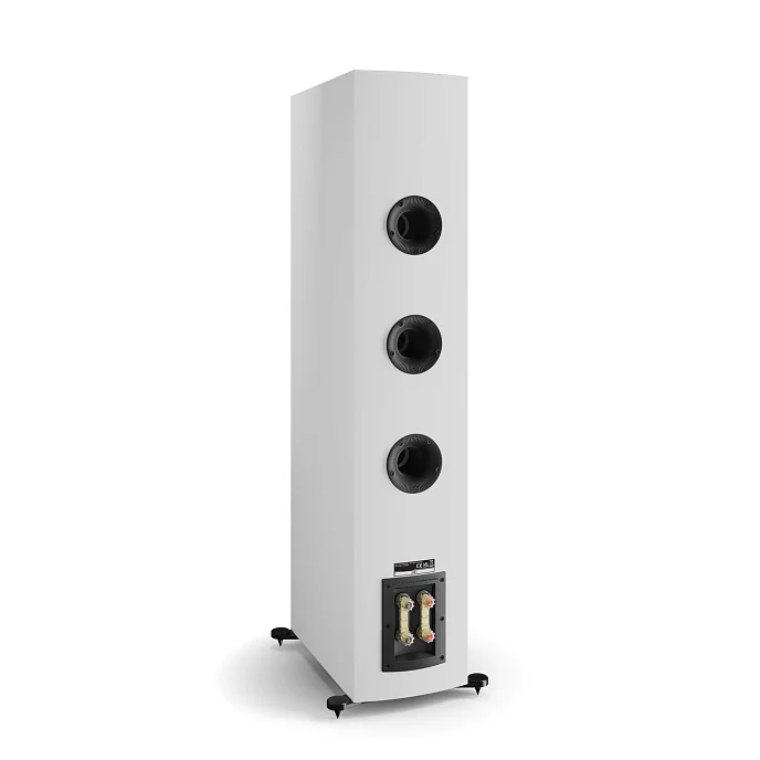 Полочная акустика Dali Rubikore 8 White High Gloss - рис.5