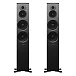 Напольная акустика Dynaudio Emit 50 Walnut - рис.0