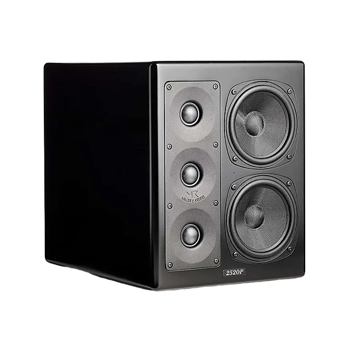 Студийный монитор M&K Sound MPS2520Р Left - рис.1