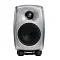Genelec 8010ARw Unpainted Aluminum