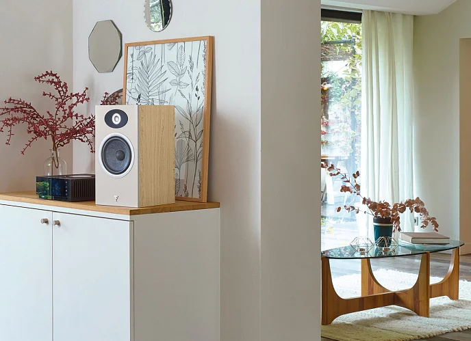 Полочная акустика Focal Theva N1 Light Wood - рис.5