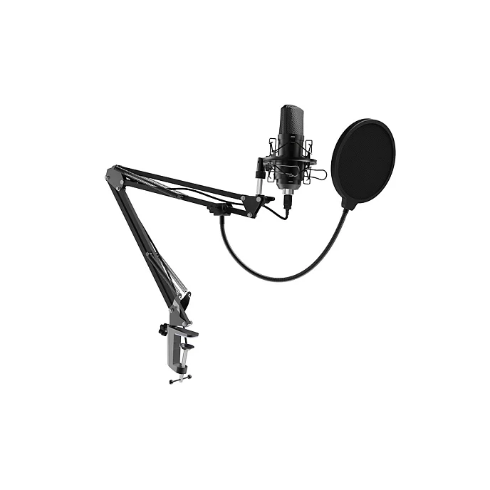 Микрофон для стриминга и игр Ritmix RDM-169 USB Black - рис.0
