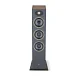 Напольная акустика Focal Theva N2 Dark Wood - рис.2