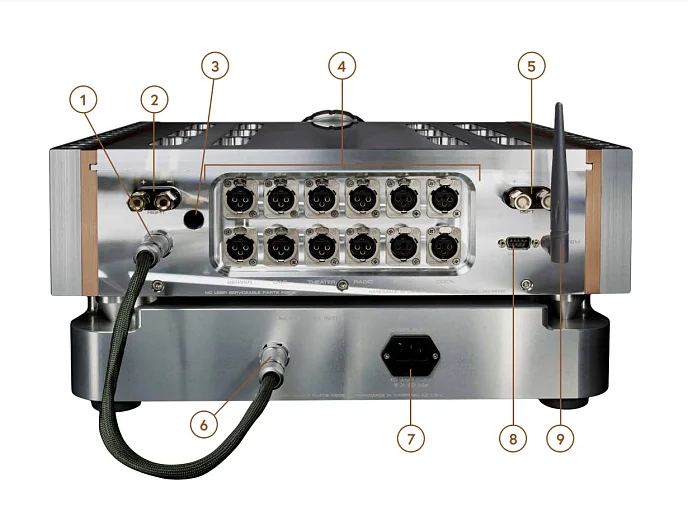 Интегральный усилитель Dan D'Agostino Momentum Integrated Amplifier Silver - рис.3