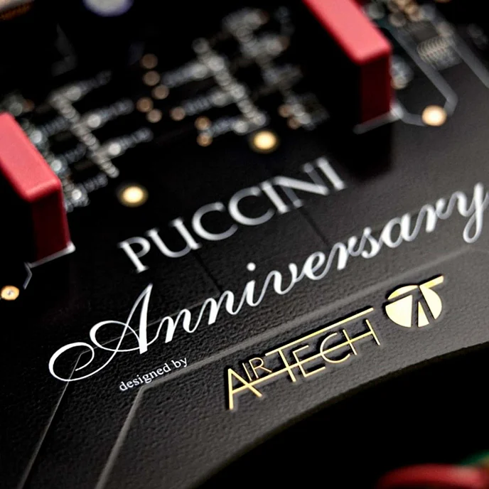 Интегральный усилитель Audio Analogue Puccini Anniversary Silver - рис.6