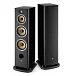Напольная акустика Focal Aria Evo X N4 Black High Gloss - рис.0