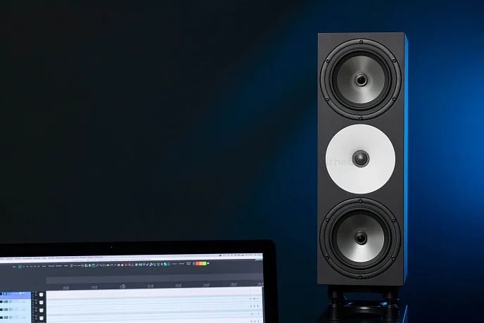 Студийный монитор Amphion Two18 Black пассивный студийный монитор Уценка - рис.26