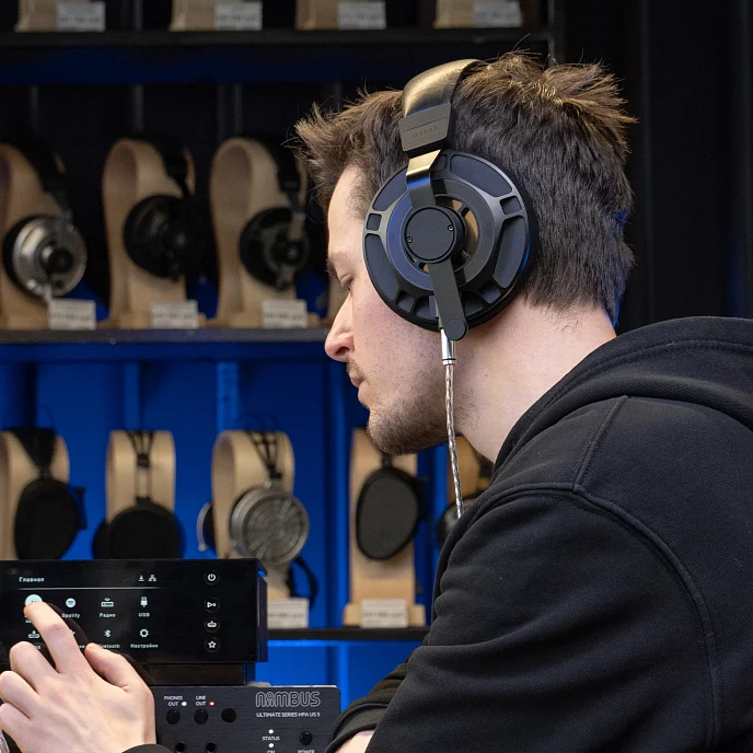 Наушники полноразмерные Final Audio D8000 Pro Limited Edition Black/Gold - рис.26