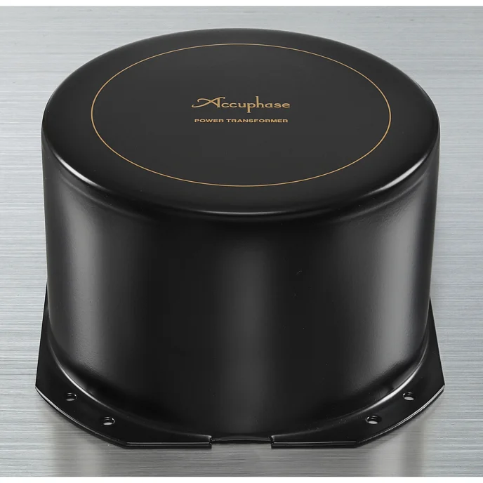 Усилитель мощности Accuphase A-48 Gold - рис.4