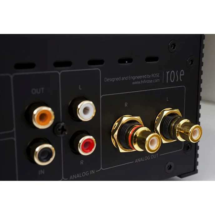 Сетевой аудиоплеер Rose RS250 - рис.10