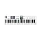 Arturia KeyLab Essential 61 MK3 White