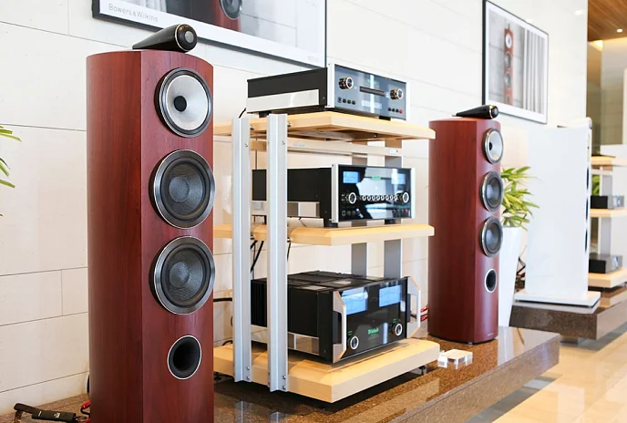 Напольная акустика Bowers & Wilkins 804 D3 Rosenut - рис.7