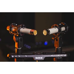 Микрофон студийный Telefunken ELA M 260 Master Stereo Set White (pair)