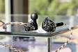- рис.29 IEM наушники Kinera Odin Black - рис.29