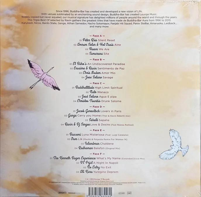 Виниловая пластинка Ravin – Buddha-Bar: Best Of 2 (Coloured) - 3LP - рис.1